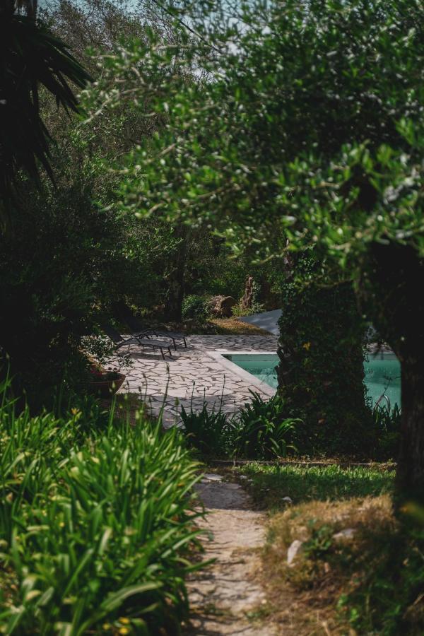 Doukádes Dimoulitsa Villas Complex מראה חיצוני תמונה