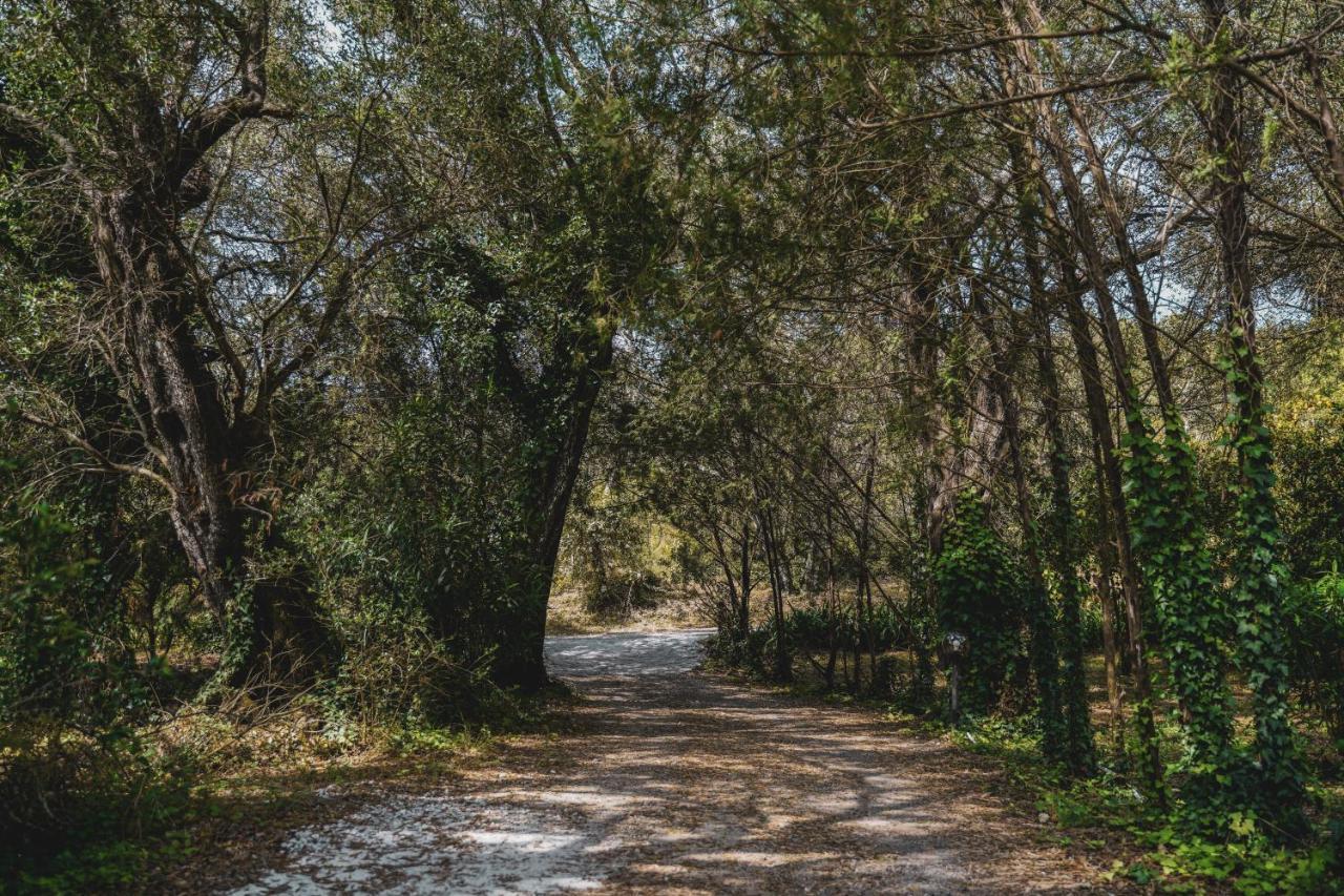 Doukádes Dimoulitsa Villas Complex מראה חיצוני תמונה